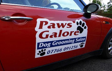 What Makes Your Car Signs Different