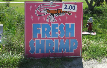 Lawn Signs