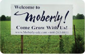 Custom Signs